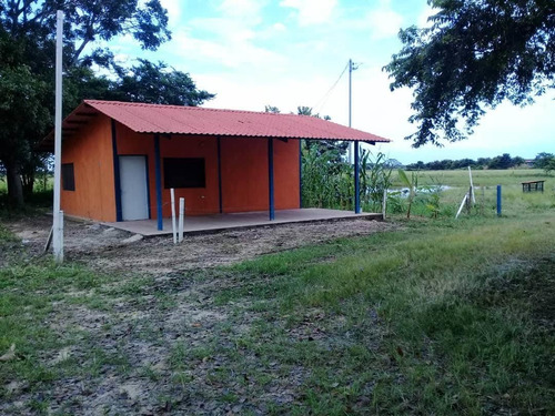 Imagen 2 de 25 de Finca Bufalina Barinas, Parroquia San Silvestre En Venta