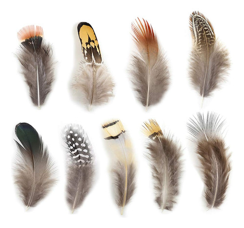 180 Piezas De 9 Plumas Naturales De Estilo Surtidas De Pluma