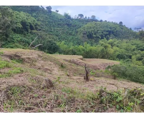 Venta Lotes - Vereda La Esperanza - Pereira