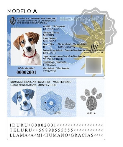 Plantilla Ci Documento Identificacion Editable Perros, Gatos