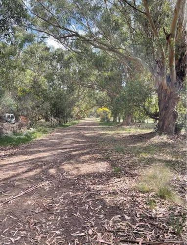 Terreno En Venta - 200mts2 - Necochea