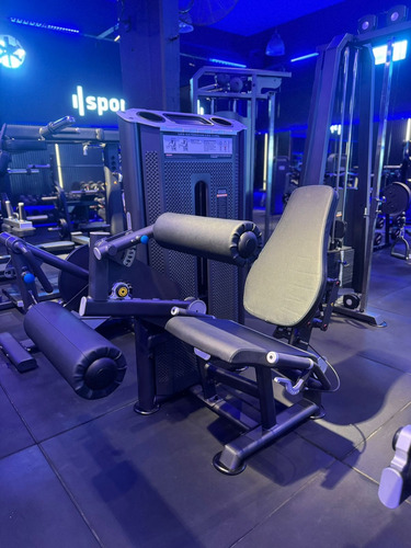 Maquina Camilla Cuadriceps Femoral Profesional Gfitness