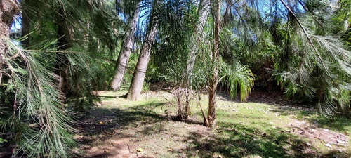 Imagen 6 de 17 de Terreno - Carapachay