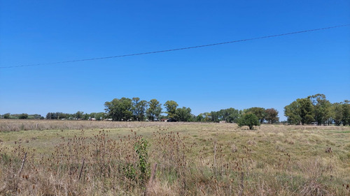 Excelente Campo De 40 Hectareas, Villa Paraancito, Acceso Vehicular, Luz, Ganadero O Plantacion