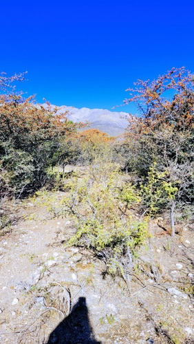 Imagen 15 de 18 de Lote En Los Hornillos Bv. Los Olivares Escrituracion Futura