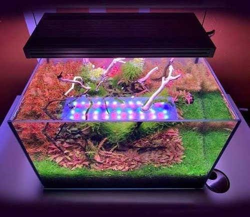 Chihiros Wrgb 2 120 Acuarios Plantados, Altos Requerimientos
