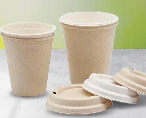 Vasos Para Café De Pulpa Biodegradable 8 Onzas Con Tapas