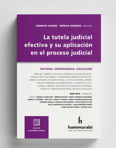 La Tutela Judicial Efectiva Y Su Aplicación En El Proceso Ju: Doctrina Jurisprudencia Legislación, De Federico Causse. Editorial Hammurabi, Tapa Blanda En Español, 2023