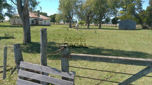 Campo En Venta En Ruta 2 (gandara) La Plata - Alberto Dacal Propiedades