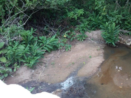 Terreno Em Vila Nova - Li50879502