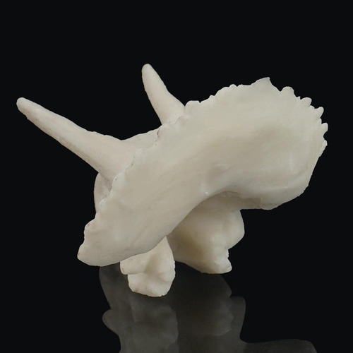 Decoración De Acuario De Resina Cráneo De Triceratops