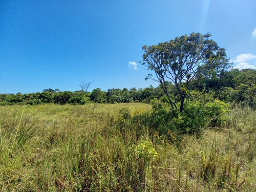 Imagem 2 de 4 de Terreno Perto Da Rodovia Com 284m² Seco E Plano 9527