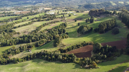 Imagen 9 de 16 de Campito De 7ha Mirador Del Mañio - Los Muermos