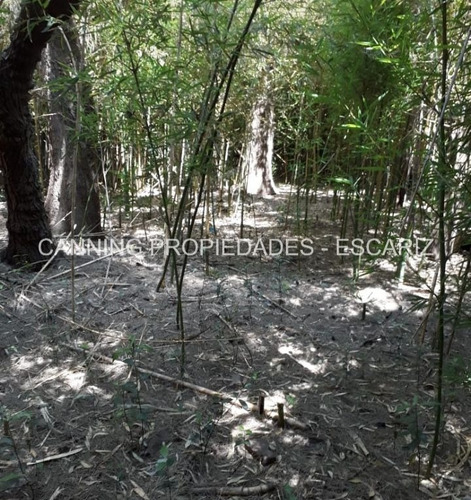 Imagen 4 de 13 de Lotes - En La Mejor Zona De Banfield . Lomas De Zamora- Apto Ideal Desarrollo Inmobiliario - 4000 M2 - Salida A Dos Calles - A 200 Metros De Larroque Y De Alvear - Zona Residencial