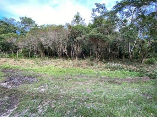 Imagem 1 de 10 de Terreno De Chácara De 25 Mil De Entrada Em Itanhaém Litoral