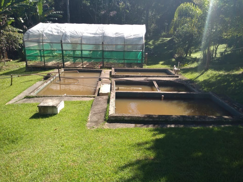 Imagem 14 de 30 de Sítio À Venda Em Juquitiba - 423 - 33815443