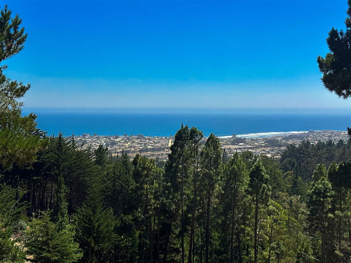 Imagen 3 de 30 de Casa En Venta Con Excelente Ubicación Y Potencial Comercial