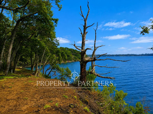Exclusivas Parcelas Con Orilla Al Lago Puyehue 