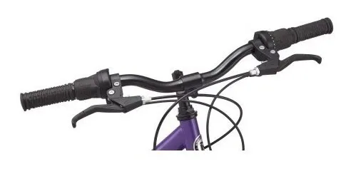 Bicicleta sales roadmaster 24