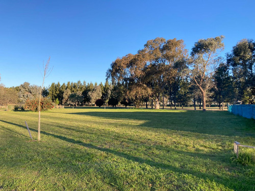Vta Lote C/ Plano Aprob Fincas De San Vicente Golf