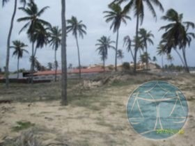 Imagem 1 de 12 de (2437) Terreno Na Praia De Muriu - V-2437