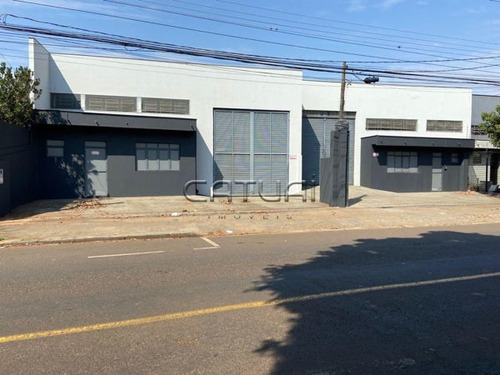 Imagem 1 de 3 de Comercial Galpão / Barracão - 177208-l