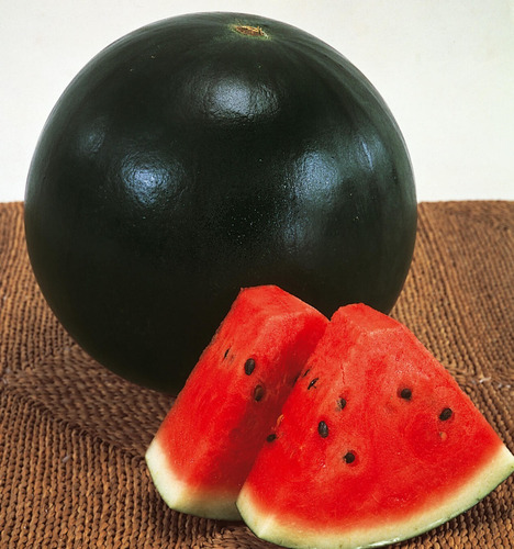 50 Semillas De Sandia Negra