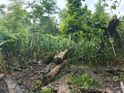 Finca Cienaga Del Opon