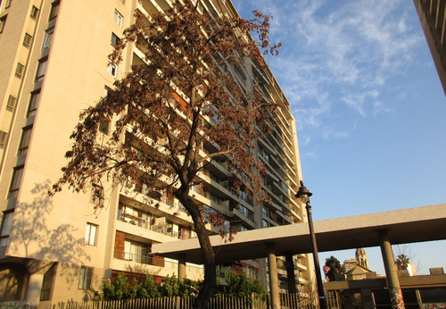 Depto. Bellavista 1 Dorm. Estacionamiento Bodega Recoleta