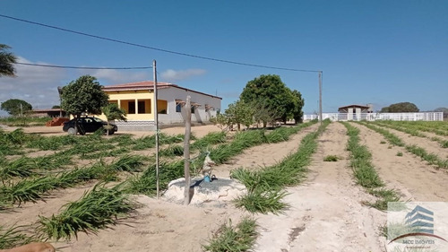 Imagem 16 de 18 de Granja A Venda Lagoa Nova