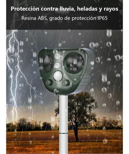 Ahuyentador Ratas, Ratones, Roedores Y Más Con Celda Solar