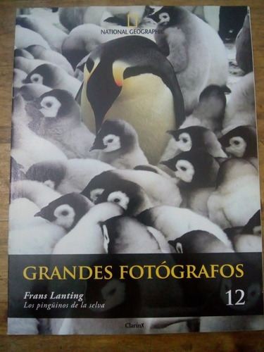 Colección Grandes Fotografos 12 Pinguinos De La Selva (33)
