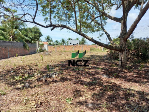 Imagem 6 de 10 de Terreno À Venda, 1200 M² Por R$ 180.000,00 - Barra Do Jacuípe - Camaçari/ba - Te0864