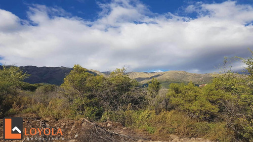 Imagen 12 de 30 de Carpintería, Lotes De 5000 M2