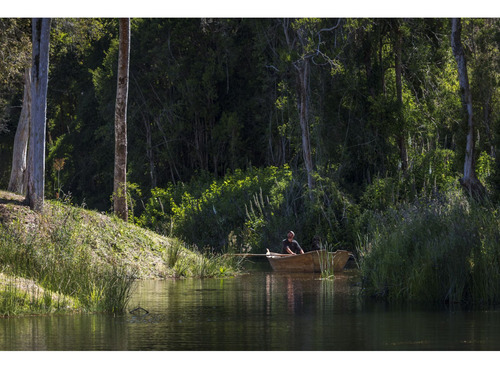 Parcela En La Reserva De Frutillar Naturaleza, Exclusivida