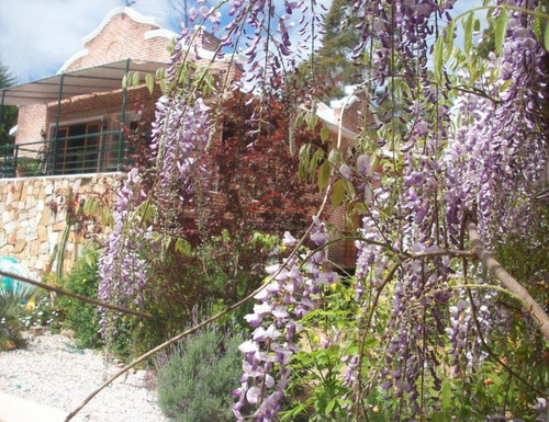 Casa En Beverly Hills, 4 Dormitorios *- Ref: 3576