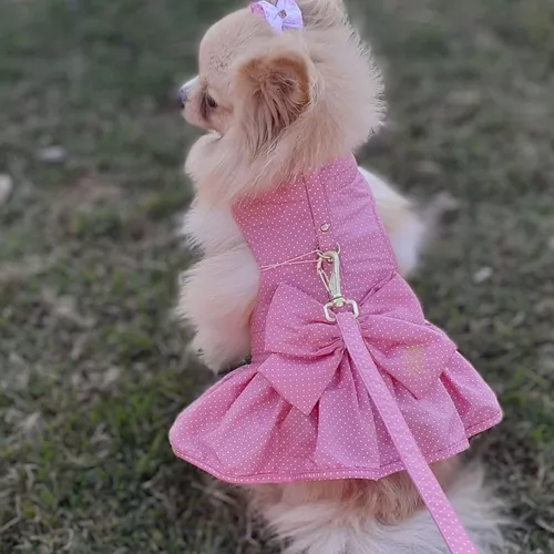 Roupa Roupinha Pet Para Cachorro Vestido Barbie Com Guia