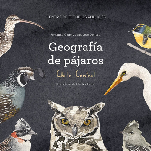 Geografía De Pájaros: Chile Central