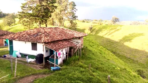 Venta Finca Filandia Quindio Cod: 3460144