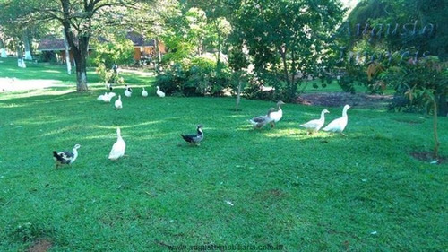 Imagem 12 de 19 de Chácaras À Venda Em Vargem/sp - Compre O Seu Chácaras Aqui! - 1481566