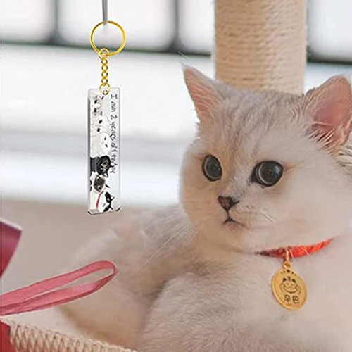 Llavero Acrílico En Blanco Con Anillo Transparente Para Llav