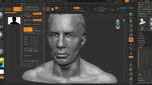 Pixologic Zbrush 2025