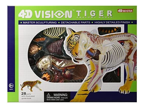 Modelo De Anatomía De Tigre Famemaster 4d Vision
