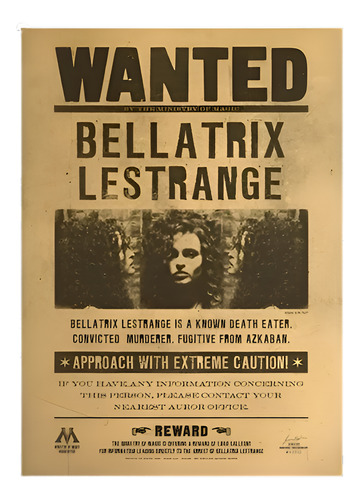 Poster Harry Potter  Bellatrix  A Elegir