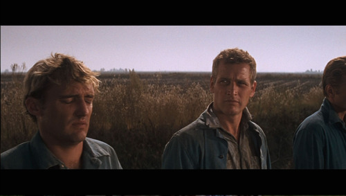 La Leyenda Del Indomable - Cool Hand Luke 1967 - 1 Bluray