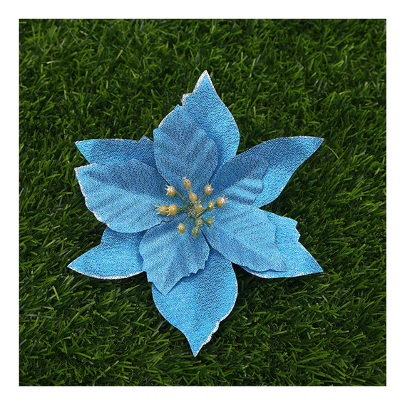 Flor Noche Buena Azul 