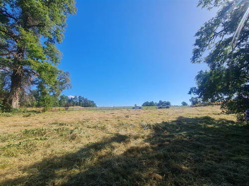 Exclusiva Parcela 5.100 M2 En Loteo Doña Inés, Valdivia