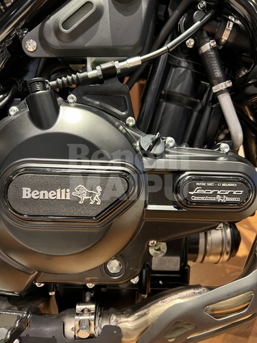 Imagen 4 de 15 de Benelli Leoncino 500