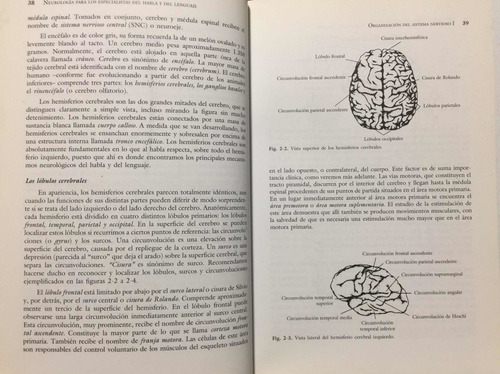Neurología Del Habla Y Del Lenguaje. R Love. Neurociencia