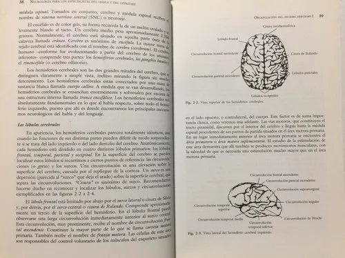 Neurología Del Habla Y Del Lenguaje. R Love. Neurociencia